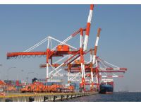 Container Loading Supervision
